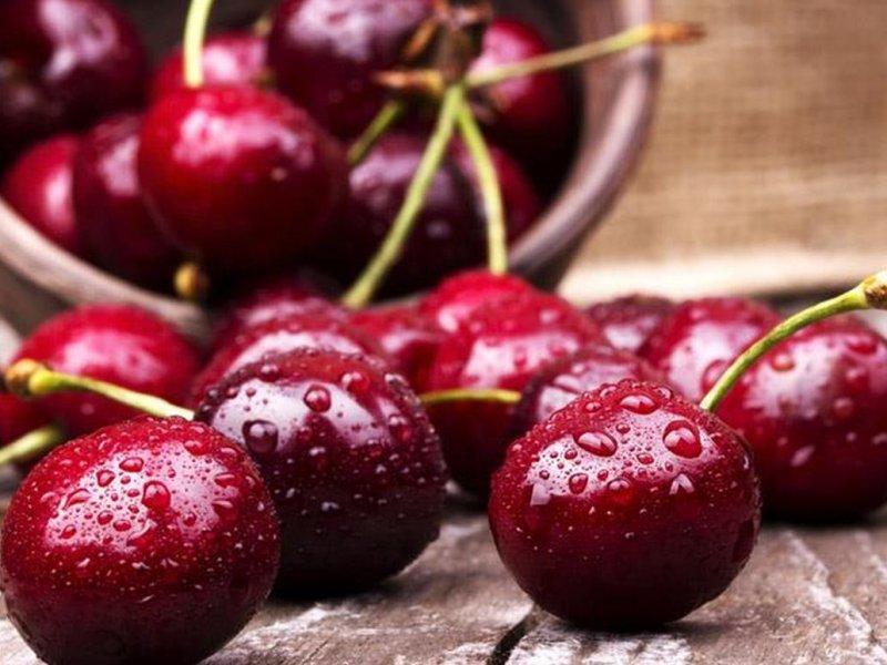 Вишня купить саженцы из питомника в Павлово